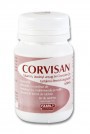 corvisan
