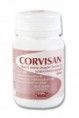 corvisan